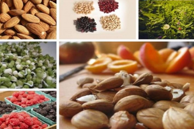 Šta je to vitamin B17?