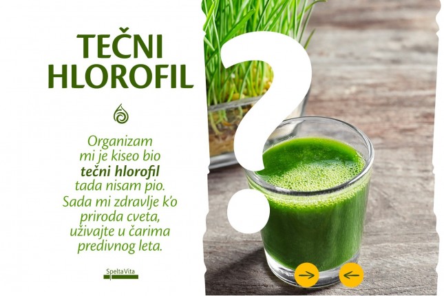 Tečni Hlorofil