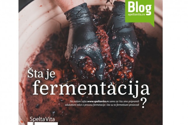 Fermentacija