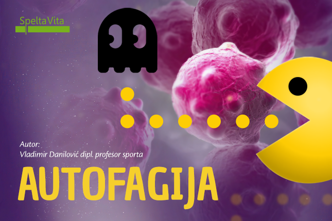Autofagija