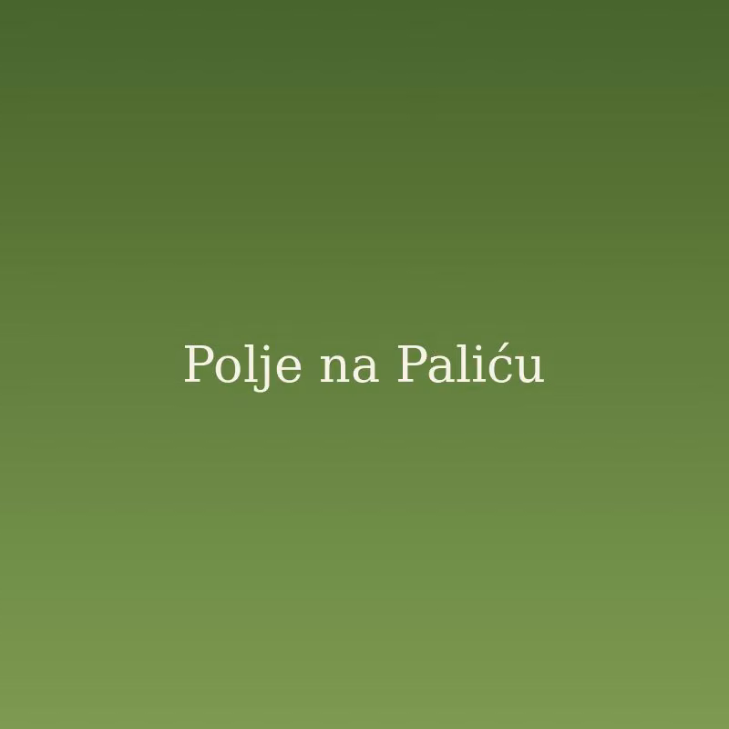 Polje mladog žita na Paliću